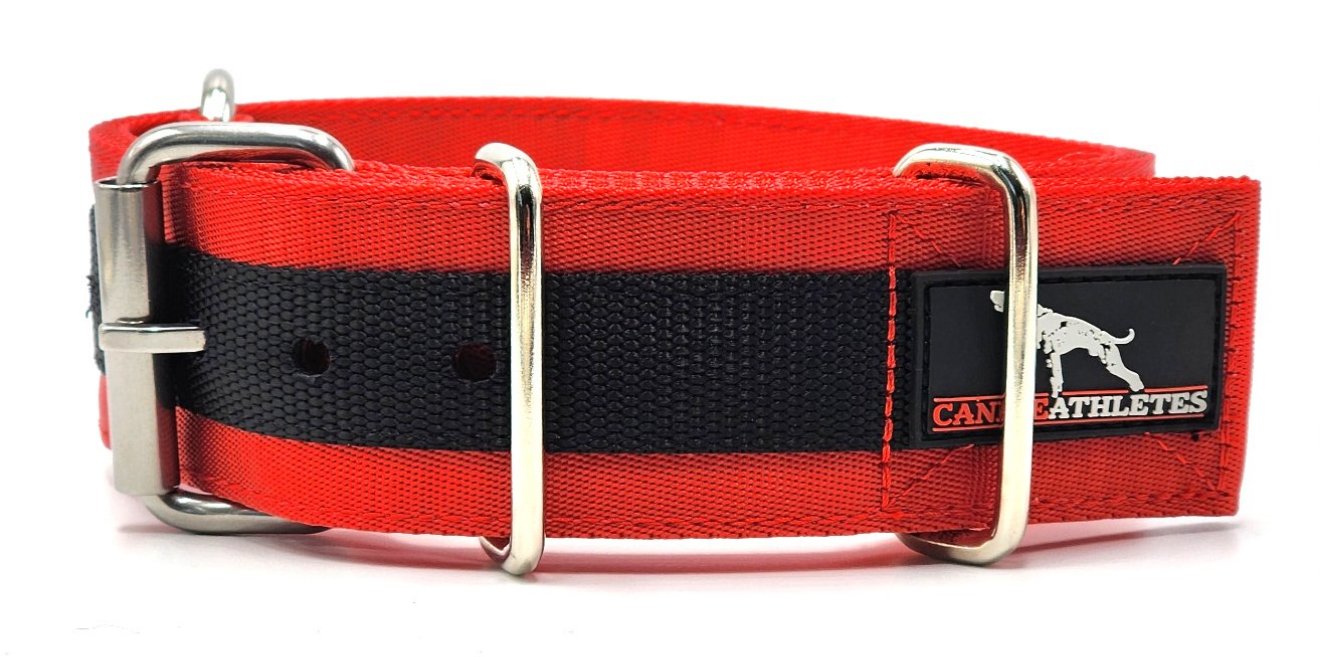 Heavy duty dog shop collars and leashes