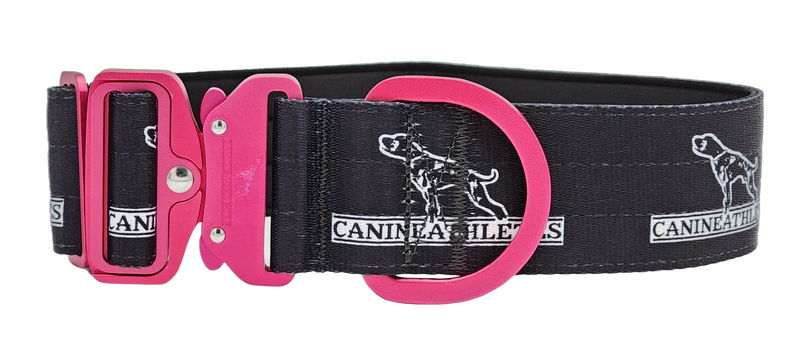 Dog Collars for Training Sporting Dogs by Canine Athletes