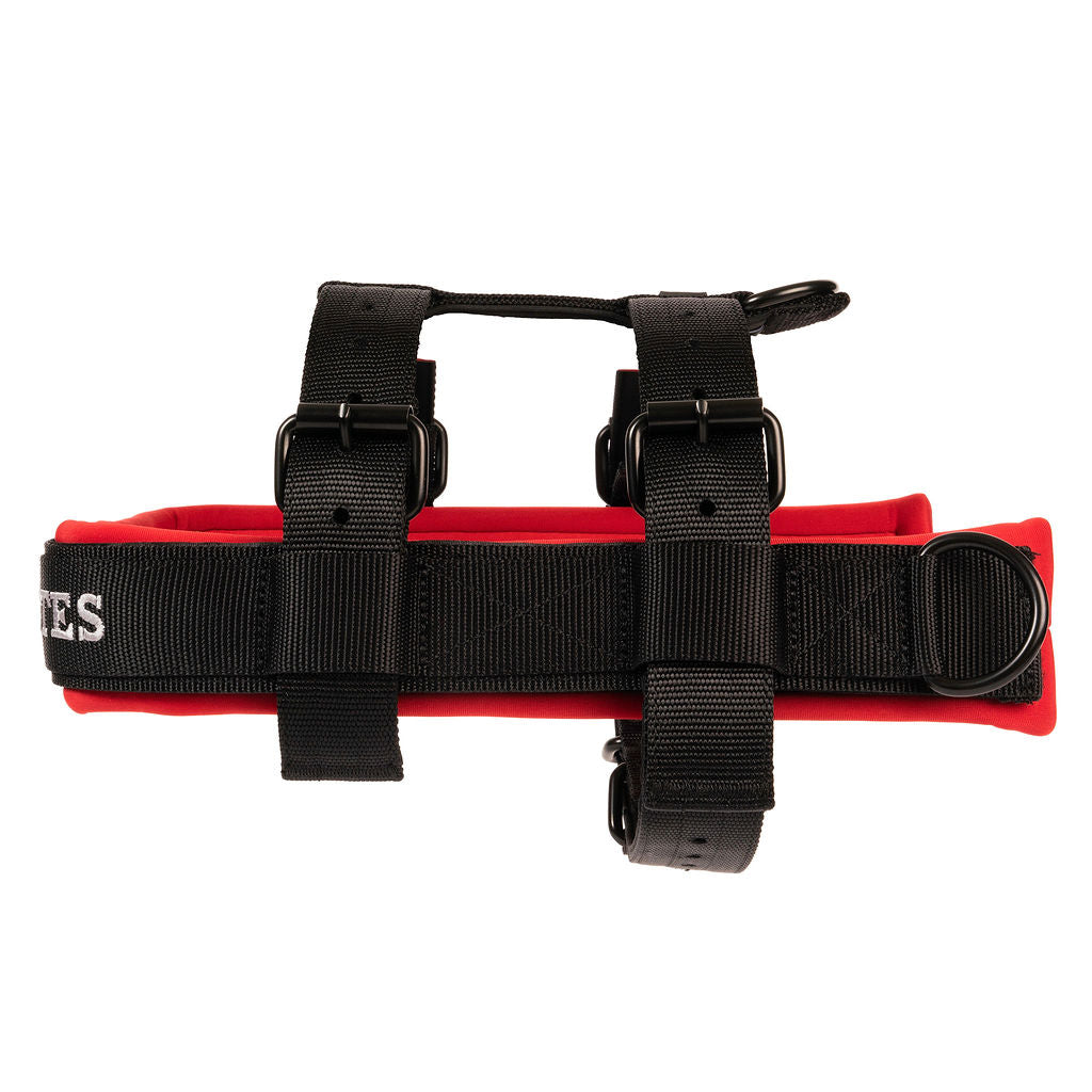 Elite 2024 dog harness