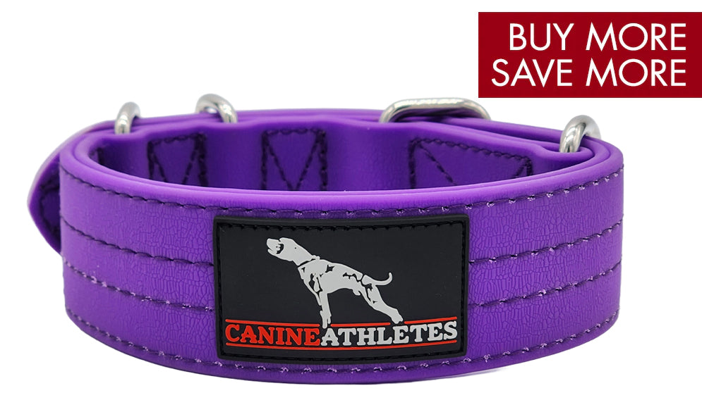 canine-athletes-ap-sport-waterproof-heavy-duty-working-dog-training-collar-purple