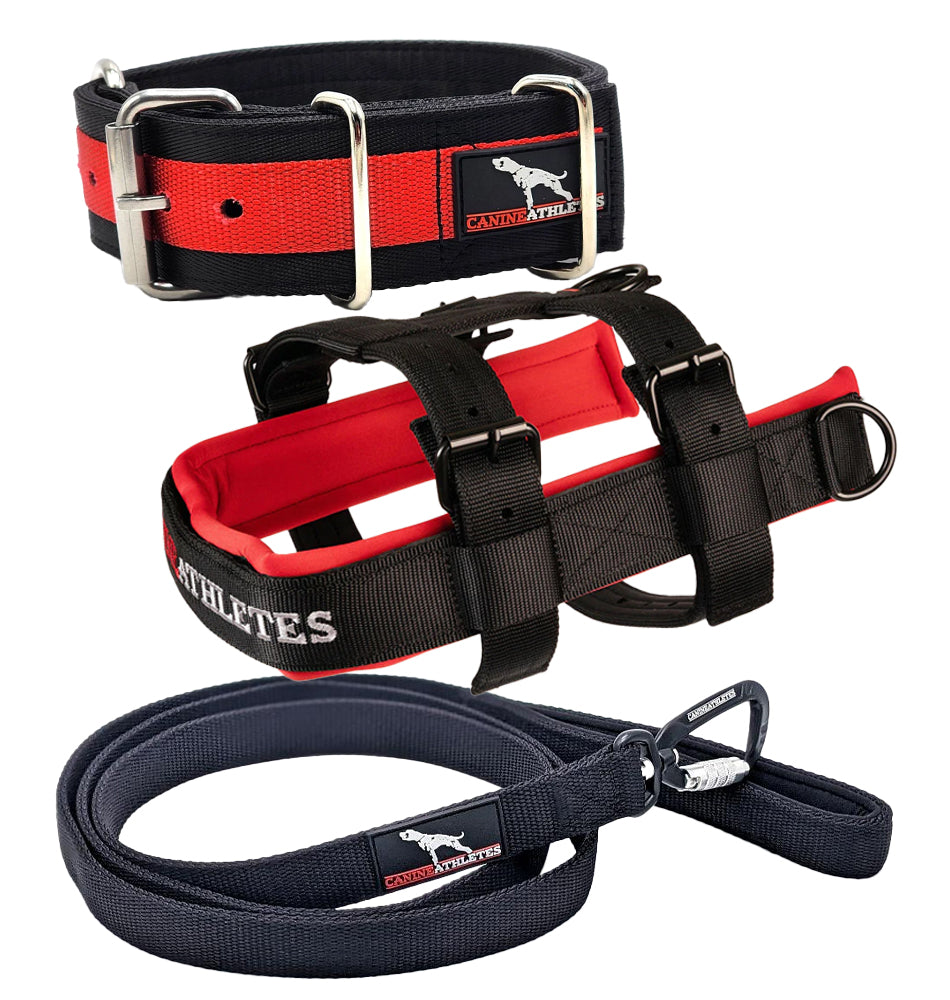 Canine Athletes 3 Elite-HD Weighted Working Dog Collar