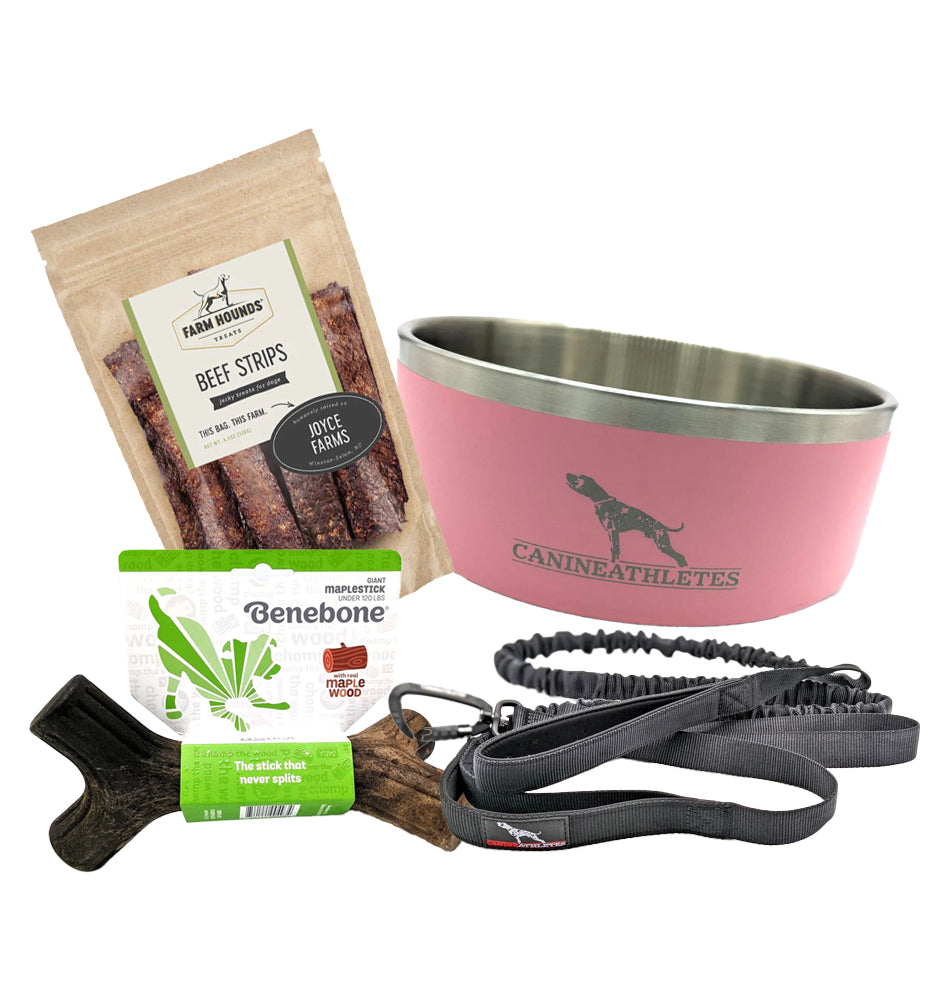 https://www.wearecanineathletes.com/cdn/shop/products/BowBundlePink_1200x.jpg?v=1673313586