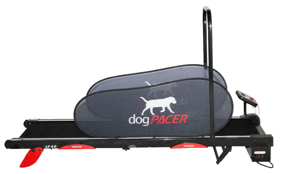 Dogpacer fashion treadmill