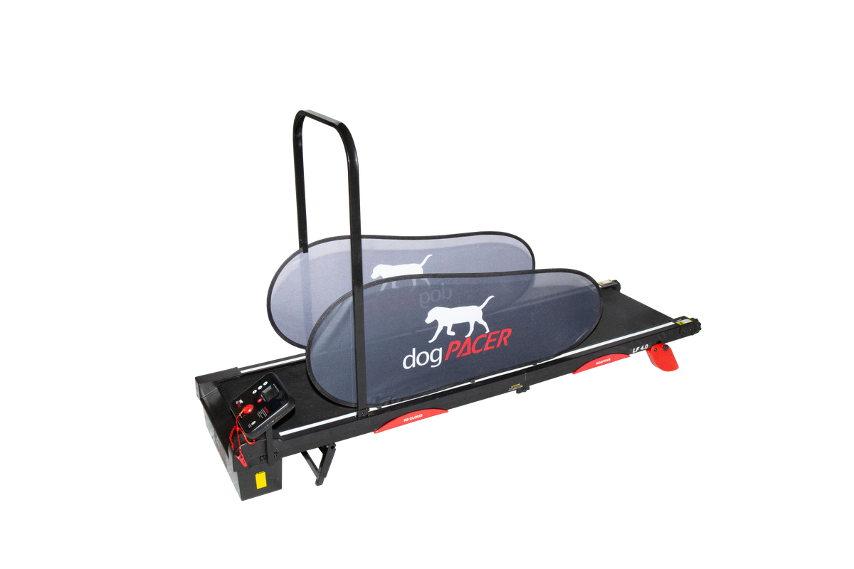 Lf 3.1 dog best sale pacer treadmill by dogpacer