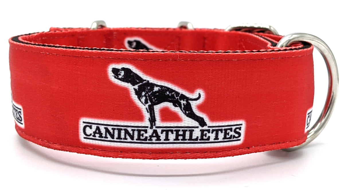 Canine Athletes Red Heavy Duty 2 Working Dog Collar