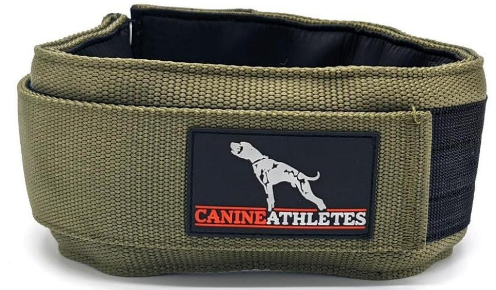 Athletic best sale dog collars