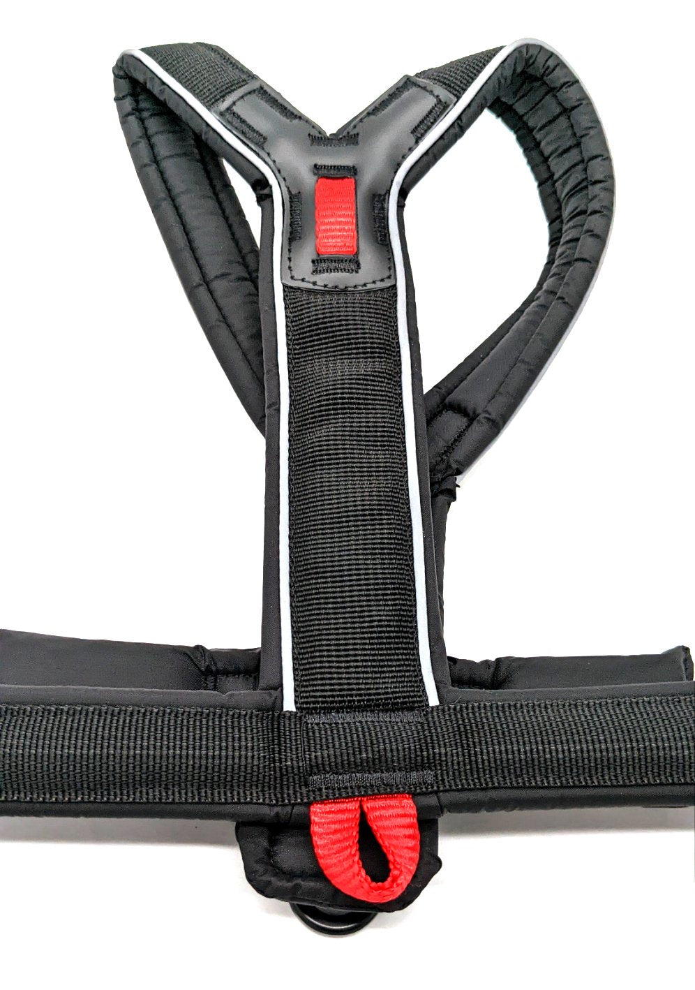 Sports dog harness outlet set